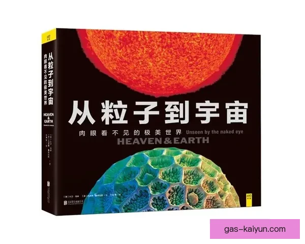 《揭秘Vini巅峰表现背后的训练与饮食秘诀》