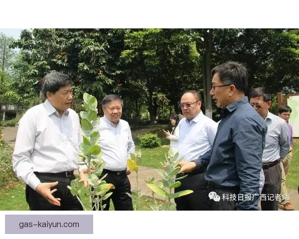 布鲁诺技术推动行业创新，助力可持续发展模式值得关注