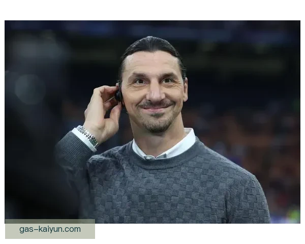 伊布职业生涯解析：表现稳健，个人荣誉与球队成就交相辉映。